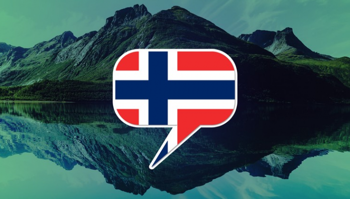 Norveççe Yeminli Tercüme
